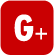 Share VIVEV™ on Google Plus